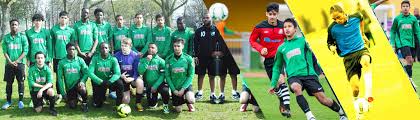 Image result for Ockley Acorns Junior F C