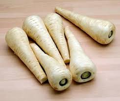 Attēlu rezultāti vaicājumam “Pastinaca sativa subsp. sylvestris fruit”