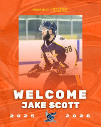 Image result for Sheffield Scimitars