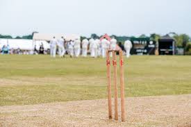 Image result for Bucklebury Cricket Club