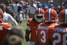 Image result for Grantham Gators