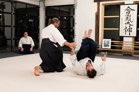 Image result for Aikido - Shobu UK
