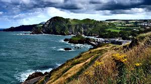 Image result for Ilfracombe & N Devon