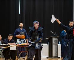Image result for York University Taekwondo Club