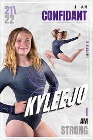 Image result for North Devon Display Gymnastics Club