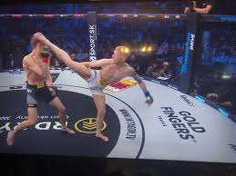 Image result for Junsui Shotokan Karate Do