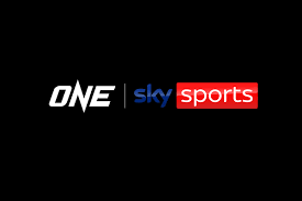 Image result for One Sky One World UK