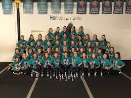 Image result for Hartlepool Hawks Cheerleading Academy