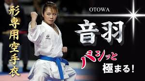 Image result for Sandokai Karate