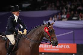 Image result for British Horse Society