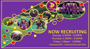 Image result for Pencnwc Short Mat Bowls Club