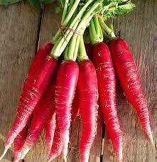 Image result for Rettich