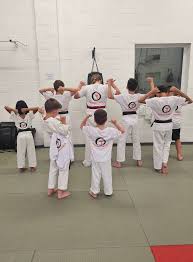 Image result for Twyford Higashi Karate Club
