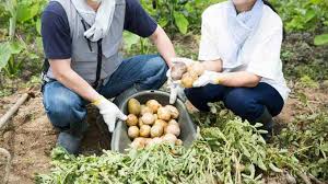 Image result for 全員５０