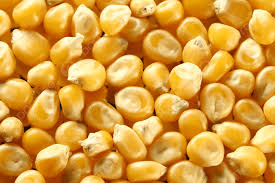 Image result for Mais