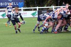 Image result for Shelford Rugby Club