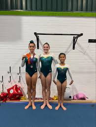 Image result for Exeter Gymnastics Club