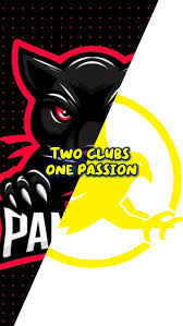 Image result for Medway Panthers Netball Club