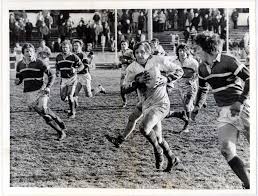 Image result for Doncaster Lakers