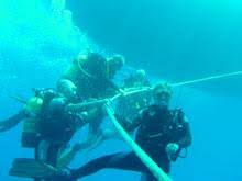 Image result for Torbay Sub-Aqua Club