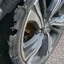 Image result for 4870315629