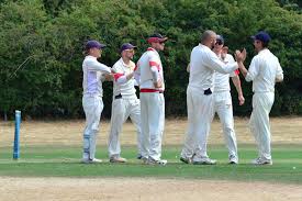 Image result for Mayfield Cricket Club