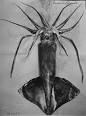 Japanese Flying Squid - Wikipedia, the free encyclopedia