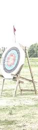 Image result for Nethermoss Archers