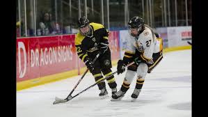 Image result for Cardiff Comets Ladies Ice Hockey