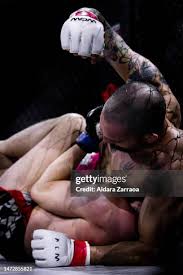 Image result for Guerrero Martial Arts