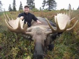 Attēlu rezultāti vaicājumam “Alces alces”