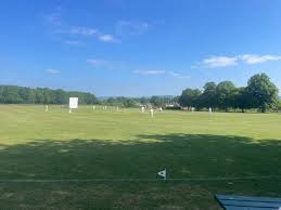 Image result for Alne Cricket Club