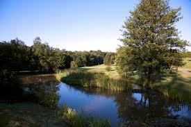 Image result for Chiddingfold Golf Club