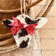 Image result for freshies