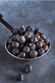 Attēlu rezultāti vaicājumam “Juniperus communis fruit”