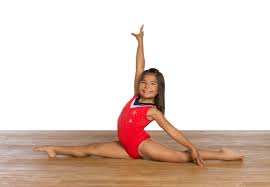 Image result for L&G Acrobatic Gymnastics Club