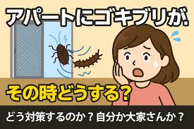 Image result for ゴキブリ報告所