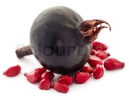 Attēlu rezultāti vaicājumam “Rosa majalis fruit”