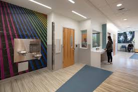 Image result for Meir Heath Cc