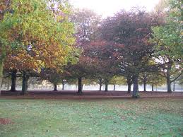 Image result for Coventry Ramblers