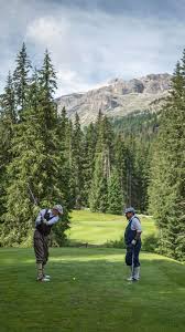 Image result for The Alt Golf Club