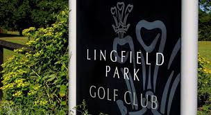 Image result for Lingfield Cricket Club