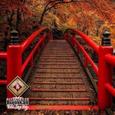 Image result for Bridge Hall Bujinkan Dojo