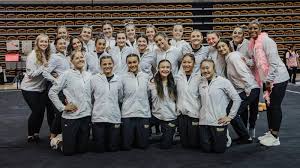 Image result for Hemsworth Odyssey Gymnastics Squad