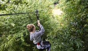 Image result for Go Ape! Leeds Castle