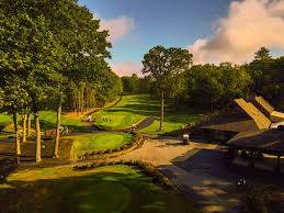 Image result for Fox Gc