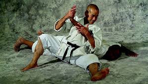 Image result for GoJu-Kai Karate Club