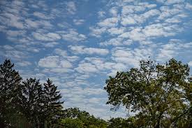 Attēlu rezultāti vaicājumam “altocumulus”