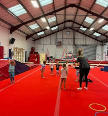 Image result for Swallows Trampoline Club