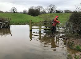 Image result for Hanliensian Rambling Club